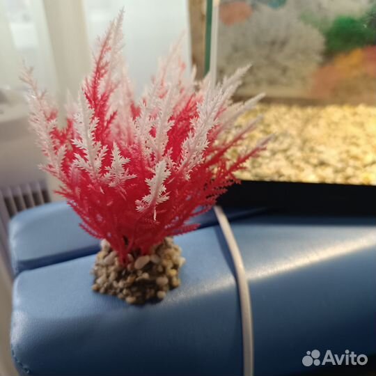 Аквариум с фильтром и светом