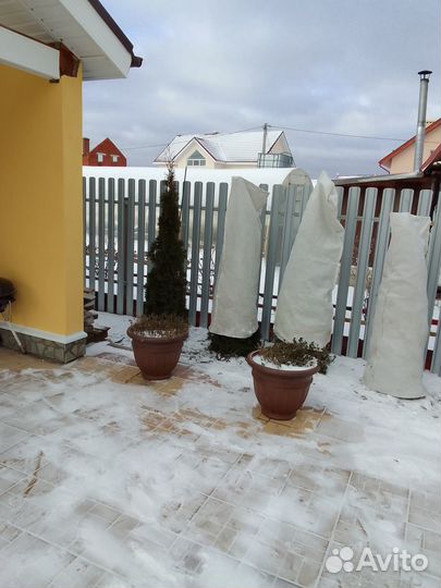 Чехол для укрытия хвойников