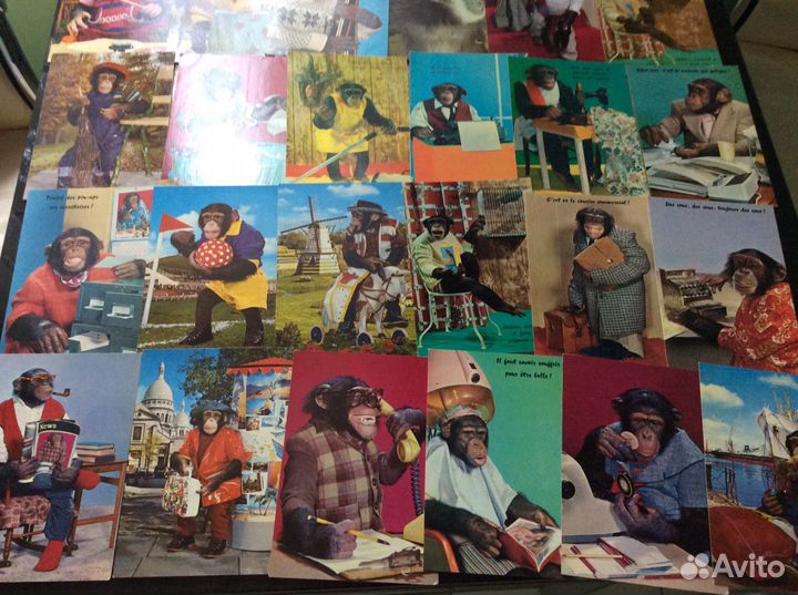 Открытки Обезьяны, собаки, дети