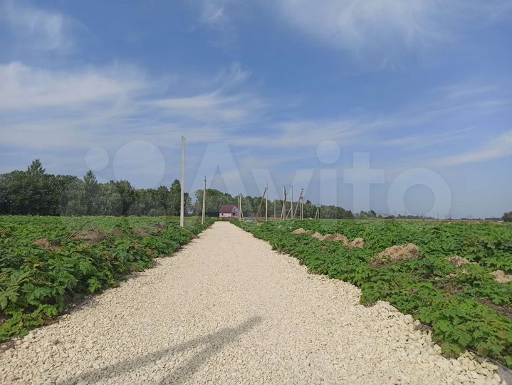 Участок 6 сот. (ИЖС)