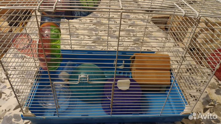 Клетка для хомяка
