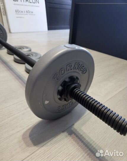 Штанга (гриф + блины)