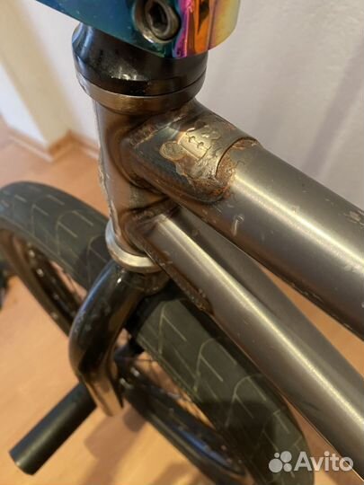 Bmx каcтом, BSD / eclat + шлем Shadow