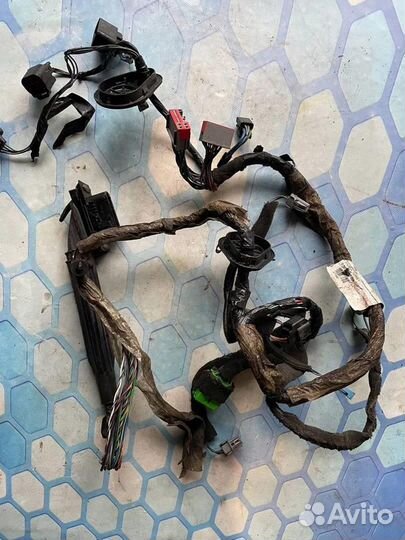 Проводка двери передней левой 30773667