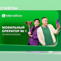 Директор салона Мегафон-Yota (Забайкальск)