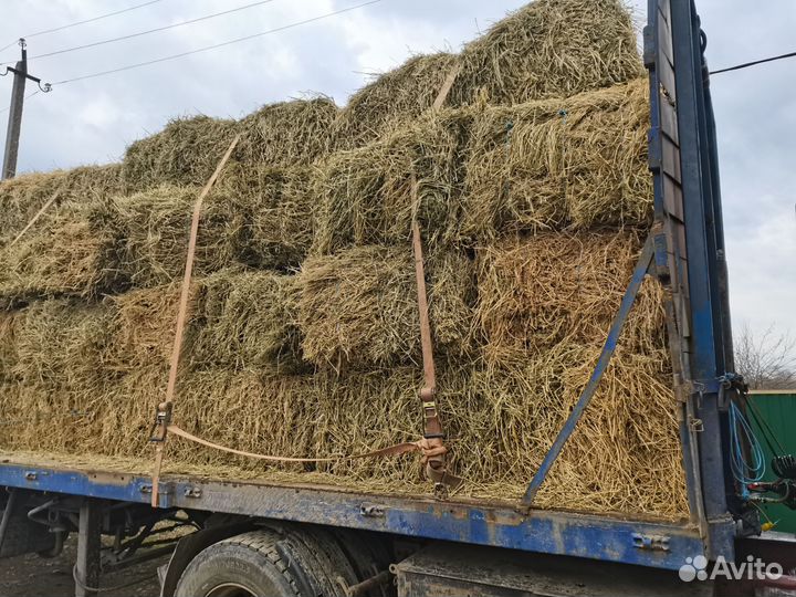 Сено люцерны в тюках