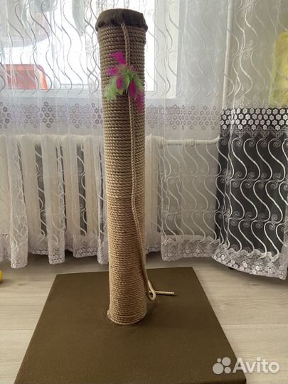 Когтеточка для кошек