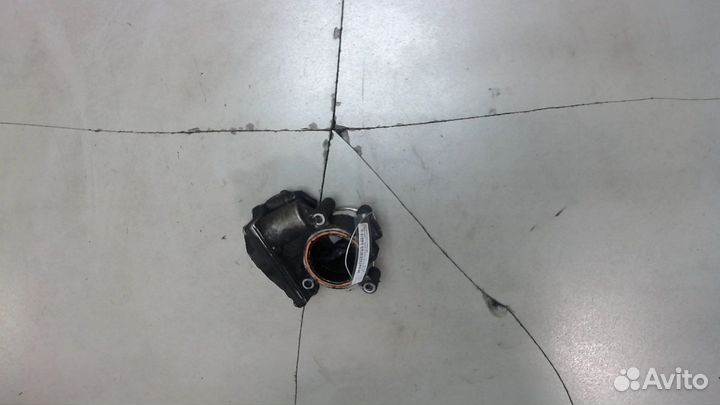 Заслонка дроссельная Volkswagen Passat 6, 2009