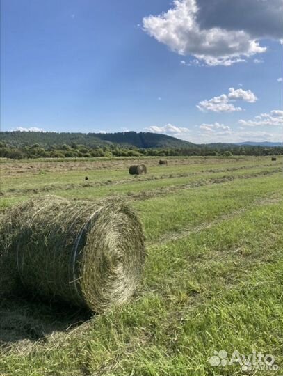 Сено. Солома