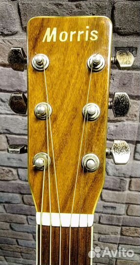 Акустическая гитара Morris MD-515 (Япония)