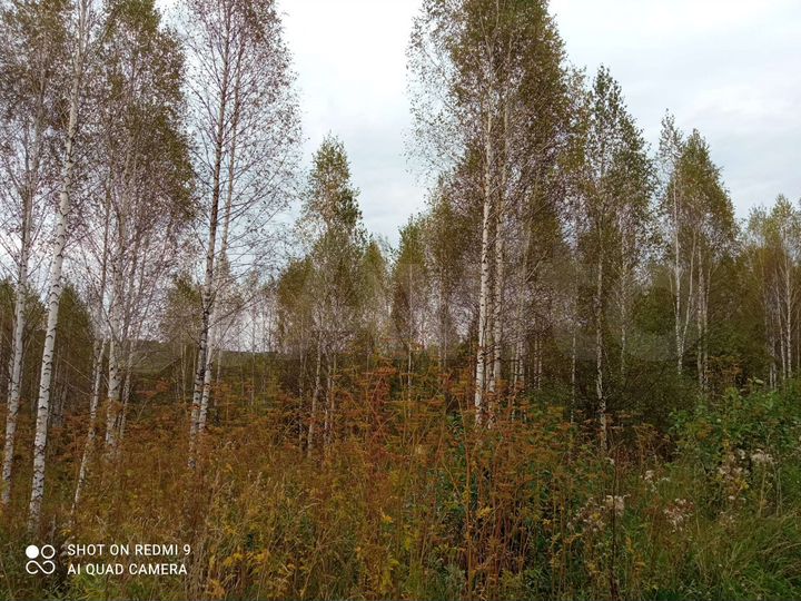 Участок 60 сот. (СНТ, ДНП)