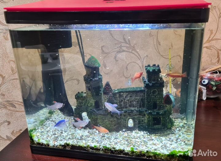 Аквариум
