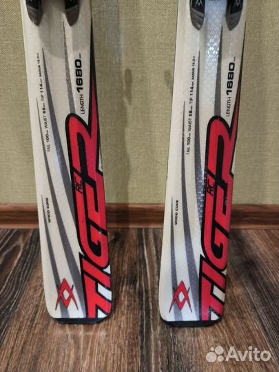 Горные лыжи Volki 168