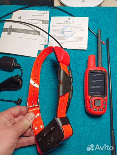 Навигатор Garmin Alpha 50 с ошейником Т5