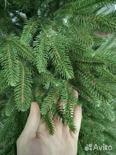 Ель искуственная литая