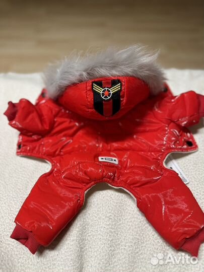 Зимний комбинезон для маленькой собаки