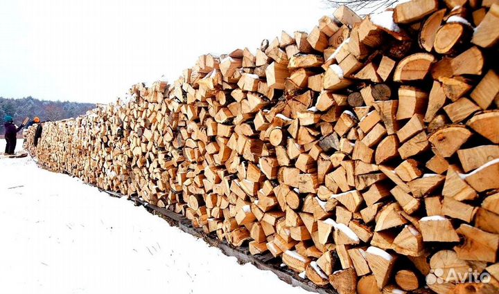 Дрова в область