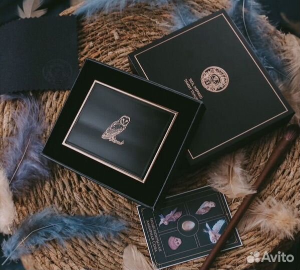 Tammy tanuka небеснокрылая амбарная сова