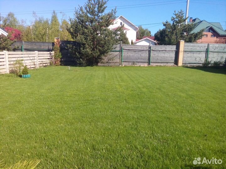Посевной,рулонный газон под ключ,гидропосев. Истра