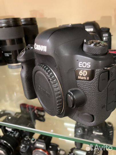 Canon EOS 6d Mark ll