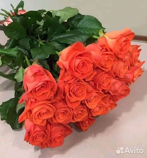 Цветы и букеты 5 - 51 шт. и больше