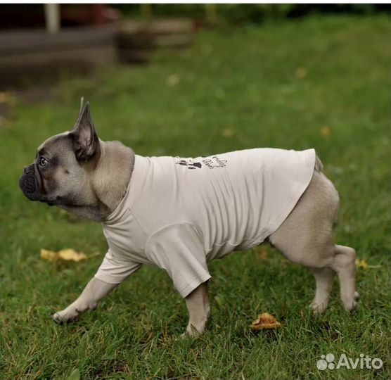 Футболка для собак