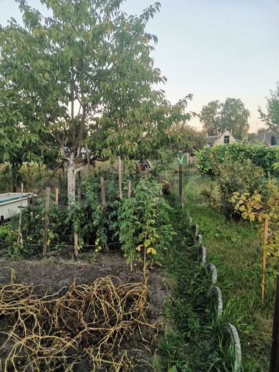 Дом 37,8 м² на участке 6 сот.