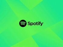 Spotify Premium на 1/3/6/12 месяцев