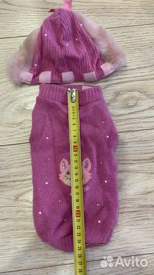 Одежда для собак мелких пород