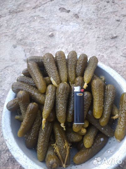 Продукты питания