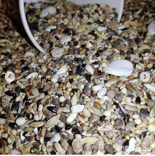 Мешанина для хомячков (зерносмесь) и венички