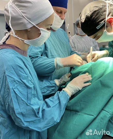 Репетитор по Биологии и Химии