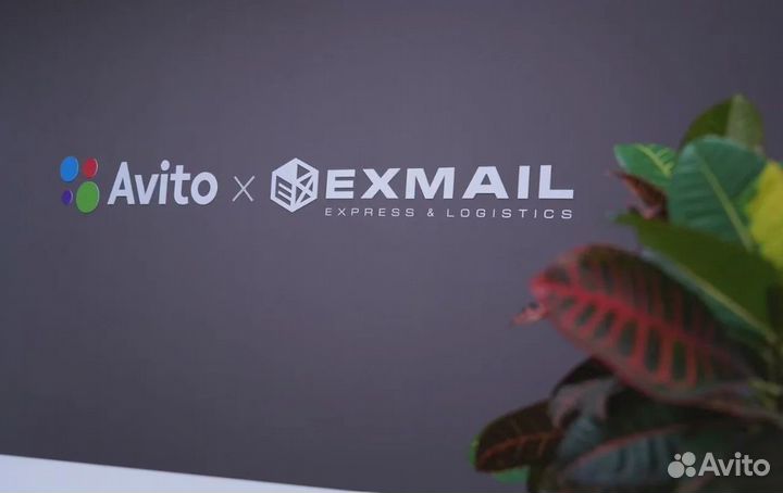 Франшиза пвз Avito Exmail