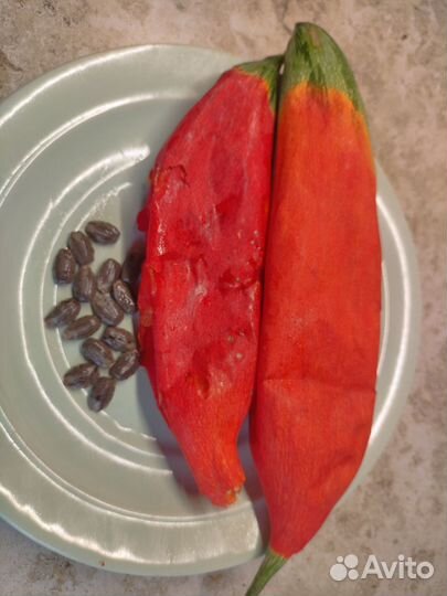 Семена трихозант