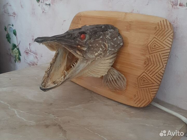 Чучело головы щуки