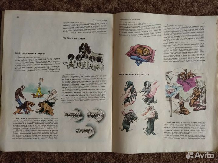 Книги о собаках