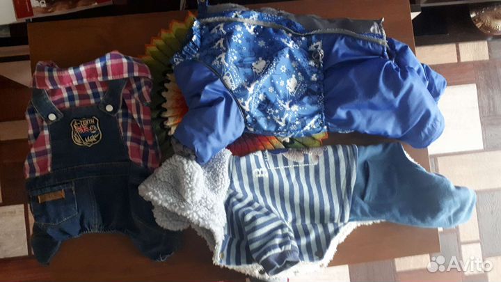 Зимние комбезы для собак