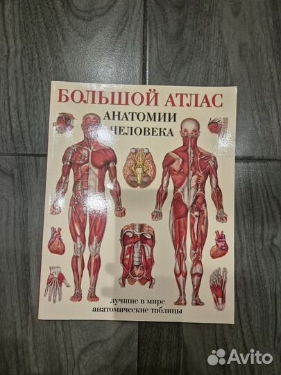 Большой атлас анатомии человека