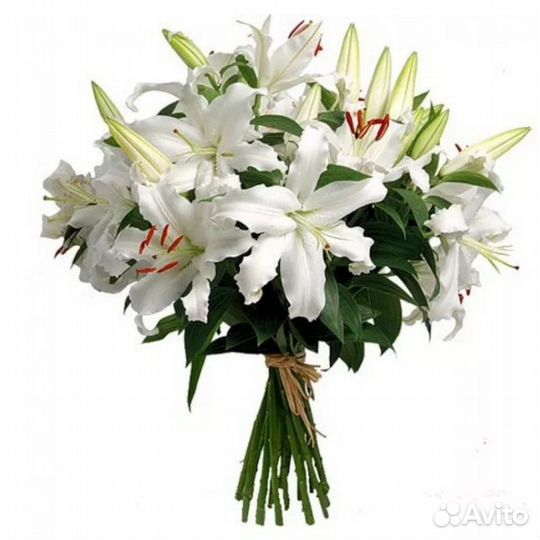 Лилия букет Лилий