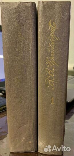 Петербургские трущобы В.Крестовский