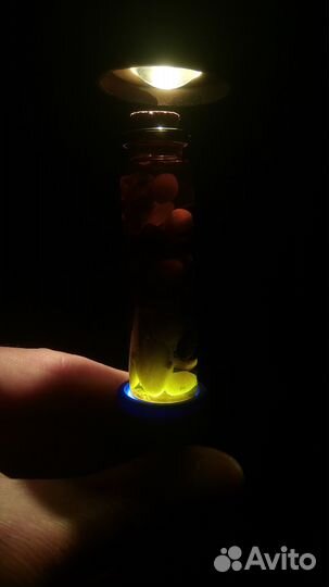 Пузырёк морских камней и кусочки кораллов