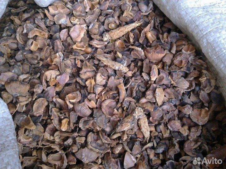 Шелуха кедровой шишки-Тунга, мульча, удобрение