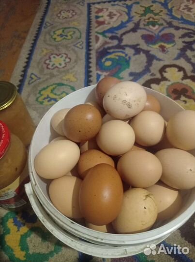 Домашние куриные яйца