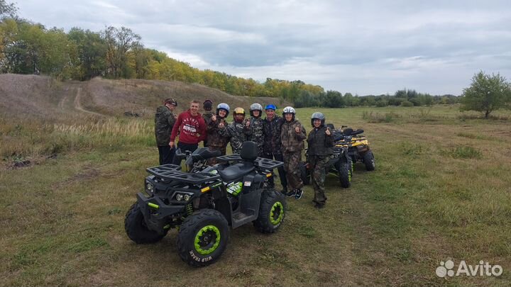 Квадроцикл мотоленд 200