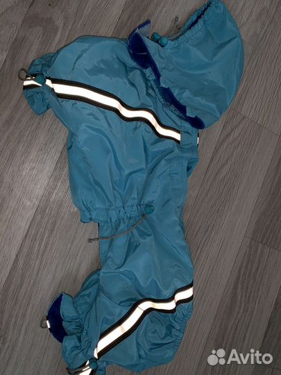 Костюм для собаки