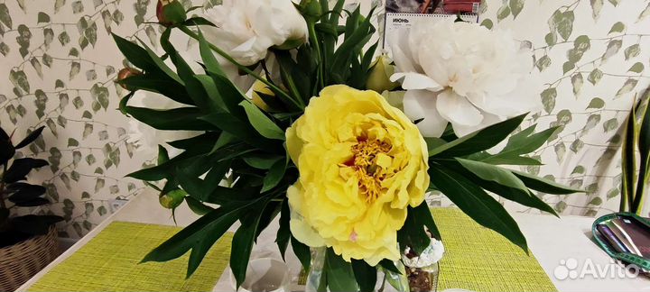 Кашпо цилиндр