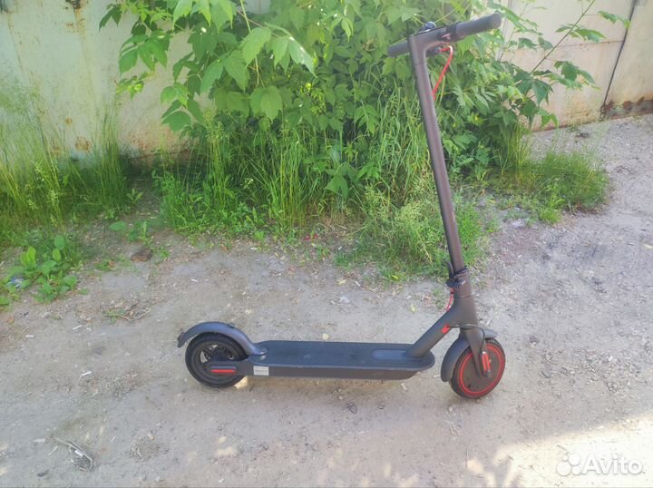 Электросамокат xiaomi m365 pro (оригинал)