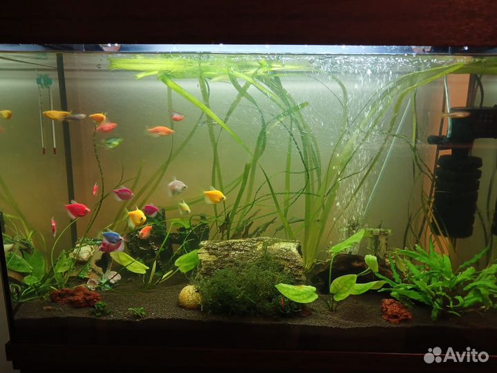 Аквариум с тумбой 150 л