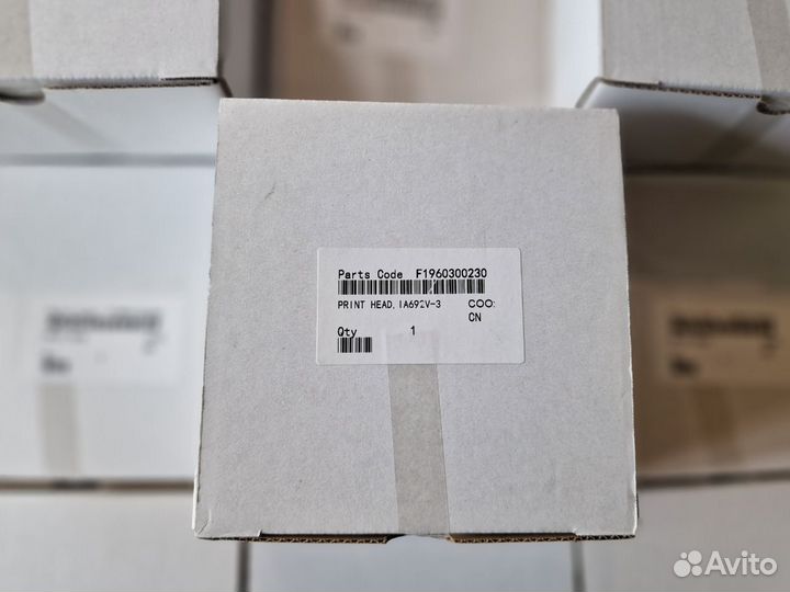 Печатающая головка Epson f189010