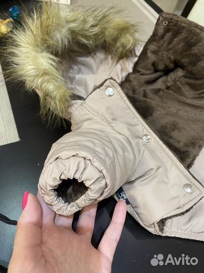 Одежда для собак